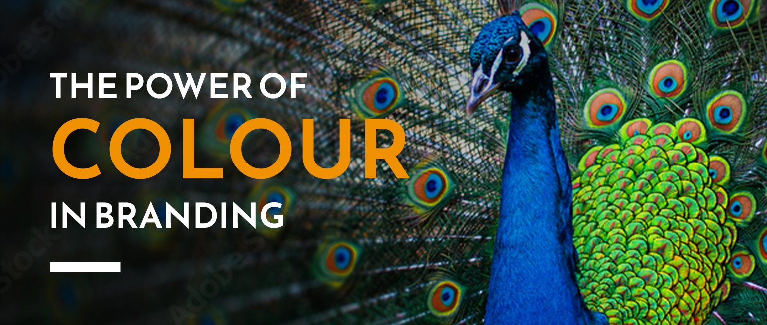 Vibrant peacock displaying its colourful feathers beside the text “The Power of Colour in Branding” - representing the impact of colour psychology in brand identity.